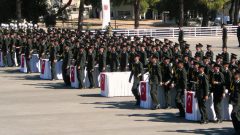 ALS SONUÇLARI SORGULAMA