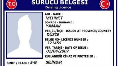 EHLİYET İPTAL SORGULAMA