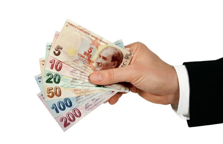 belediye ceza sorgulama
