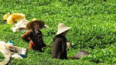 ÜRETİCİ DESTEKLEME SORGULAMA