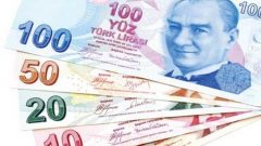 VERGİ ZİYAİ CEZASI SORGULAMA