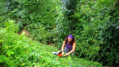 BUDAMA DESTEĞİ SORGULAMA