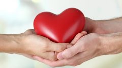 ORGAN NAKLİ BİLGİSİ SORGULAMA