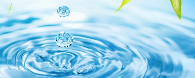 saski su fatura sorgulama