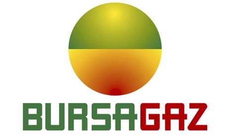 bursagaz doğalgaz borç sorgulama