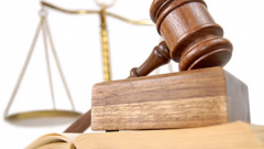 DANIŞTAY DAVA SORGULAMA