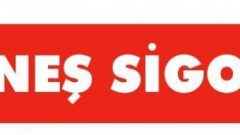 GÜNEŞ SİGORTA HASAR DOSYA SORGULAMA