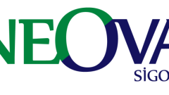 NEOVA HASAR DOSYA SORGULAMA