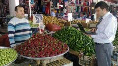 Hal Künye Sorgulama