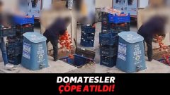 Pendik’te 882 Kilo Domates Çöpe Dökülünce Ticaret İl Müdürlüğü’nden Açıklama Geldi!